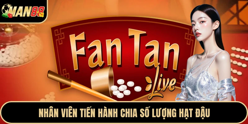 Nhân viên tiến hành chia số lượng hạt đậu